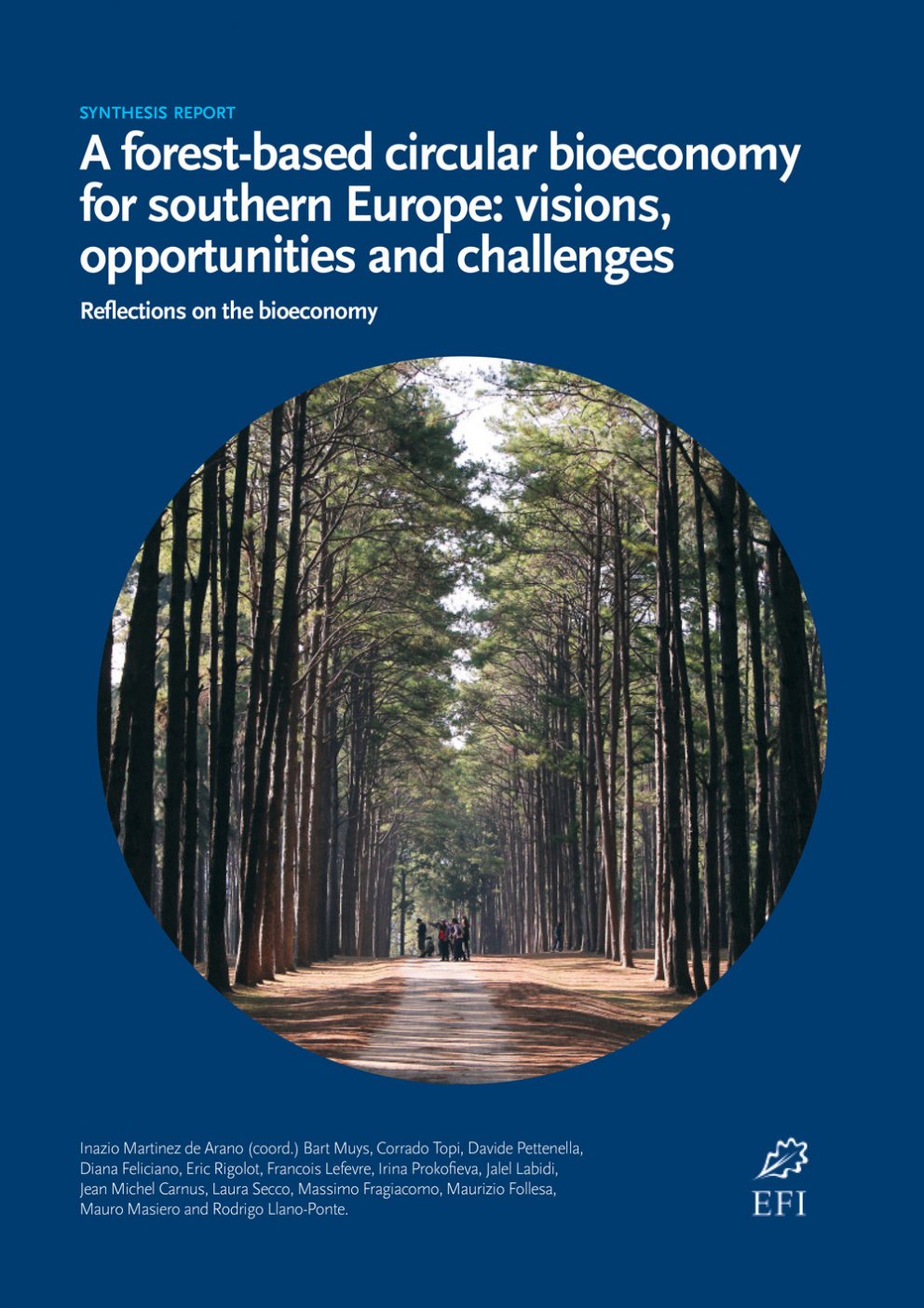 Forsíða skýrslunnar „A forest-based circular bioeconomy for southern Europe: visions, opportunities …