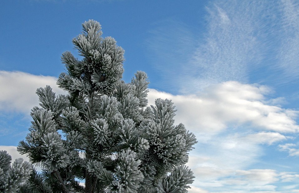 (mynd: Esther Ösp Gunnarsdóttir)