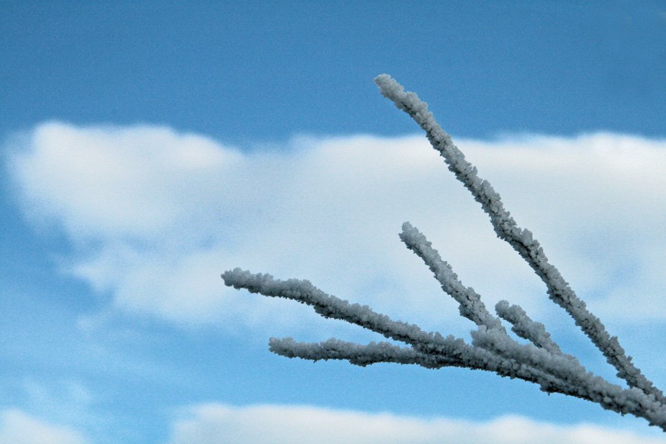 (Mynd: Esther Ösp Gunnarsdóttir)