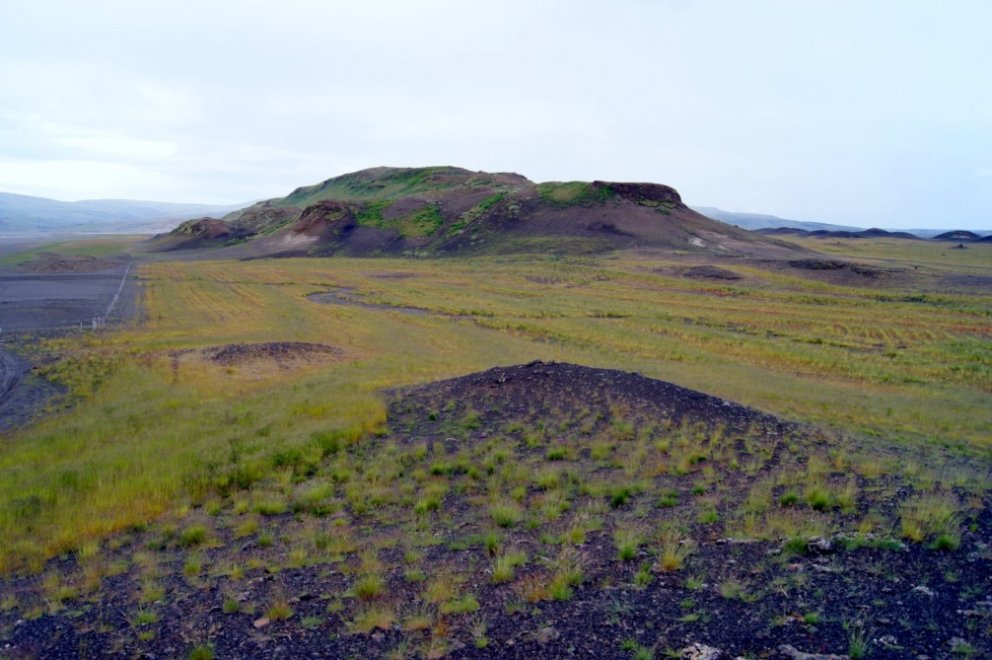 Reykholt í Þjórsárdal í júlí 2014. Þar var dreift kjötmjöli vorið 2013. Svæðið vinstra megin við gir&hellip;