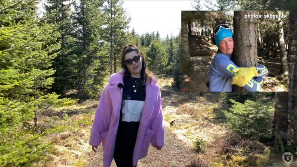 Hanna Jane Cohen hjá Reykjavík Grapevine á gangi um Heiðmörk og minnist á hvatningu Skógræktarinnar …