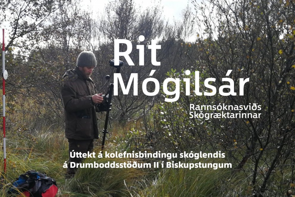 Hluti af forsíðu 42. tölublaðs Rits Mógilsár