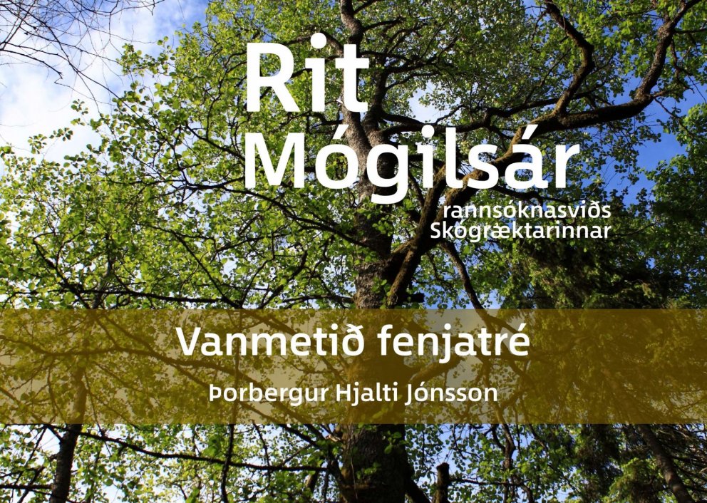 Vanmetið fenjatré