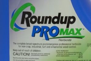 Illgresiseitur&nbsp;veldur sýklalyfjaónæmi