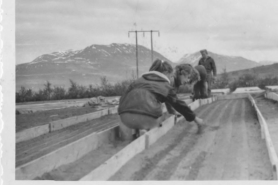Sáð í trjáplöntubeð í gróðrarstöðinni í Kjarna um 1960. Mynd úr safni Skógræktarfélags Eyfirðinga.