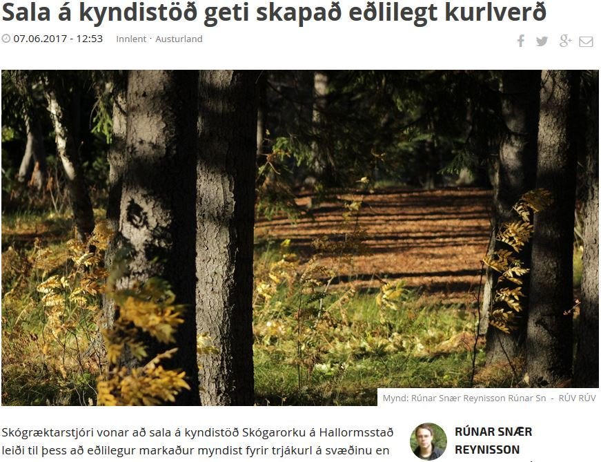 Sala á kyndistöð geti skapað eðlilegt kurlverð