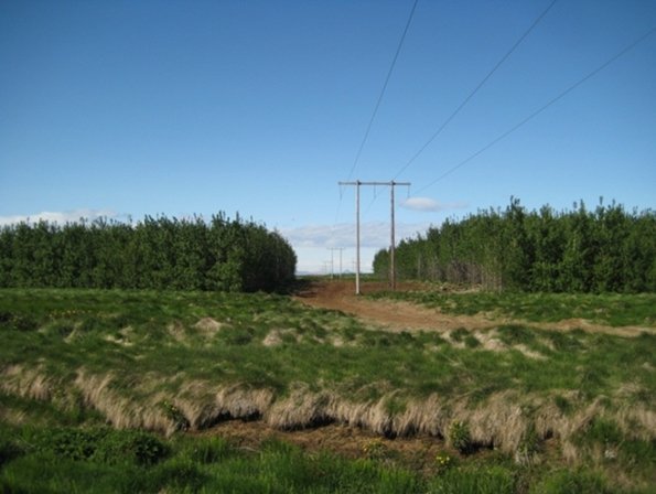 Tiltölulega örugg langtímaávöxtun