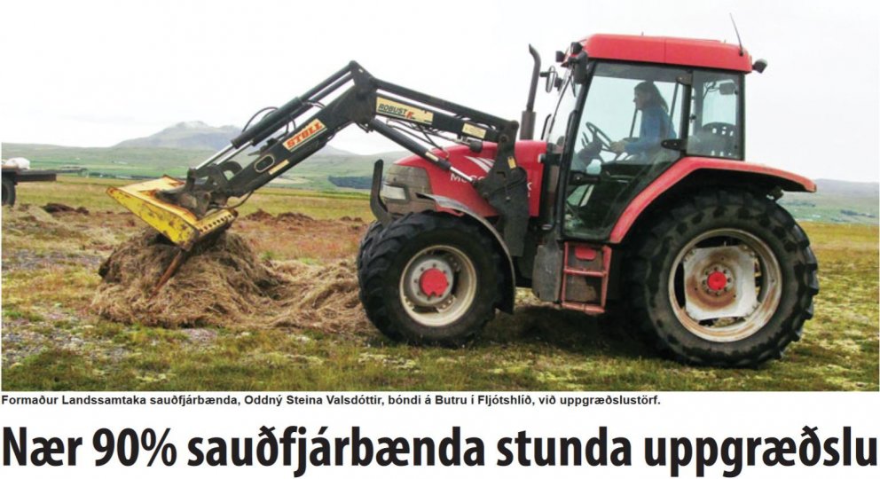 Sauðfjárbændur vilja rækta meiri skóg