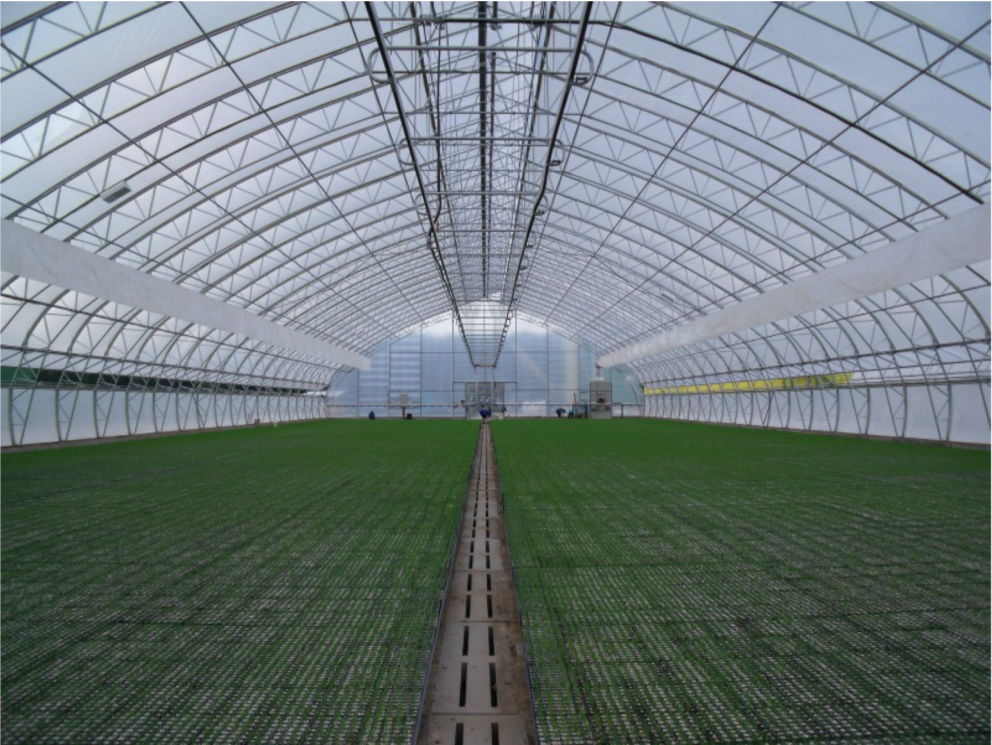 Ljósmynd af vef Reo Tuote