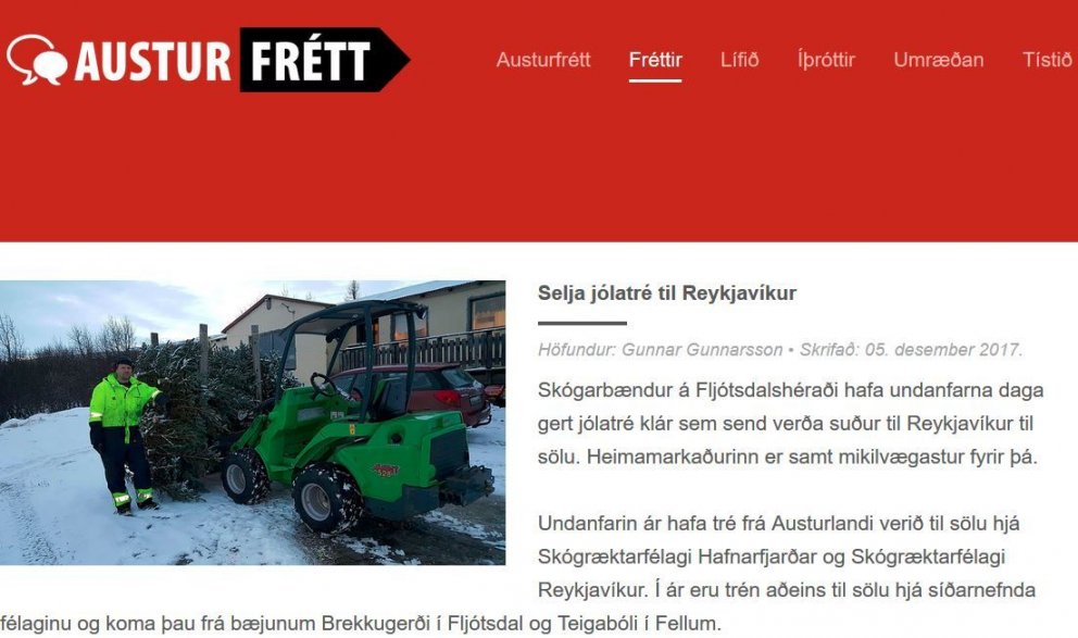 Skógarbændur eystra selja jólatré suður