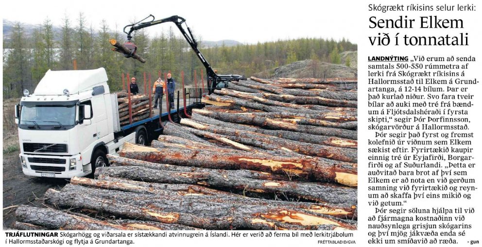 Viðarflutningar vekja athygli