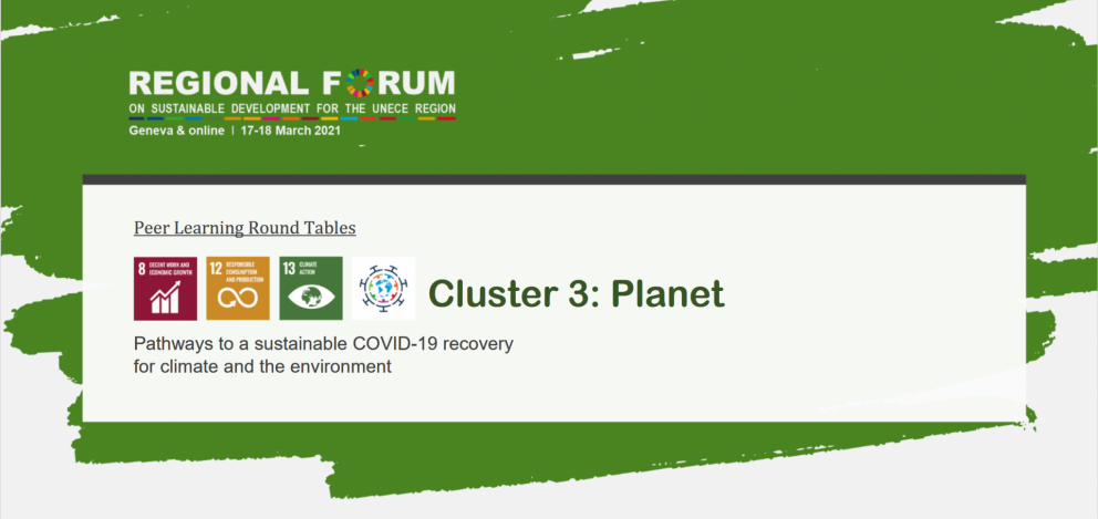 Hringborð um barrskógabeltið