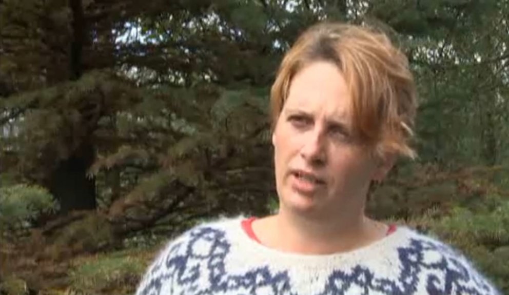 Edda Sigurdís Oddsdóttir, forstöðumaður Rannsóknastöðvar skógræktar Mógilsá, segir að grenitré jafni…