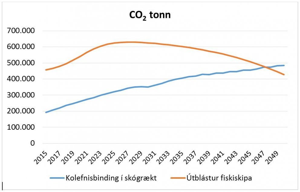 Sjávarútvegsskógur