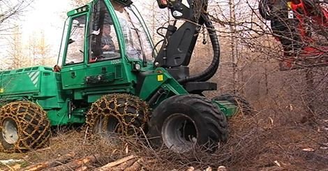 Skógarhöggsvélin í sjónvarpsfréttum