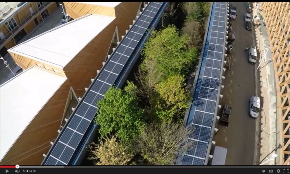 Austurríki&nbsp;undirstrikar þýðingu skóga fyrir fólk