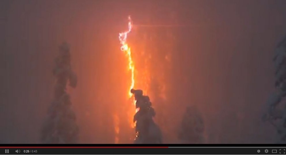 Skammhlaup í skógi