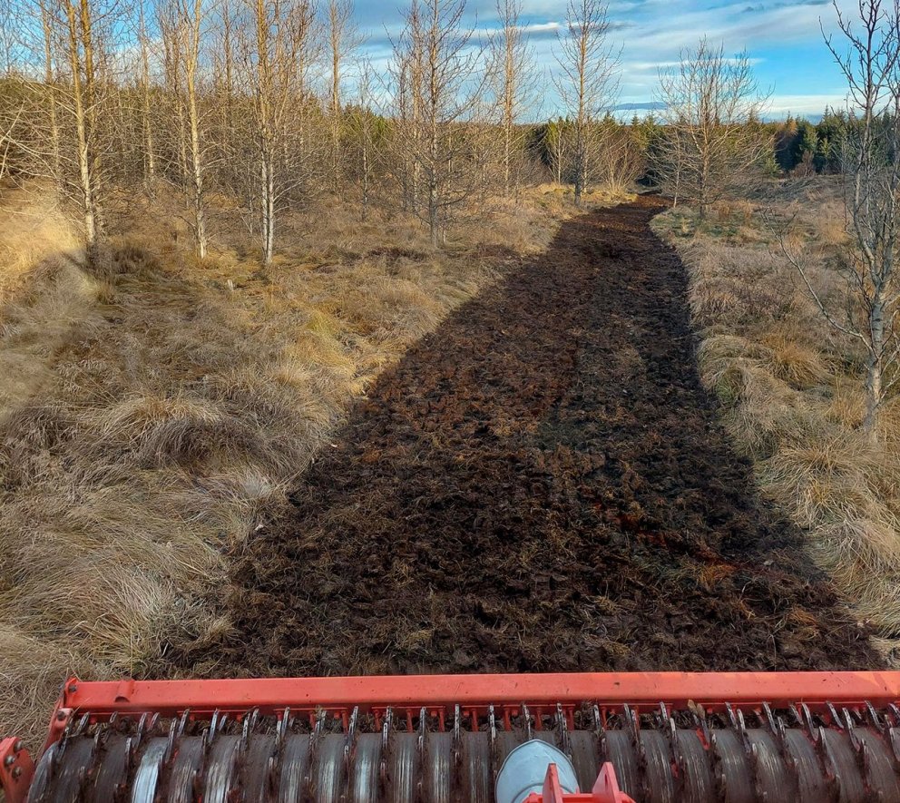 Skíðagöngubraut herfuð í Haukadalsskógi nú í nóvember. Milt haust hefur hentað vel til vinnu í skógu…