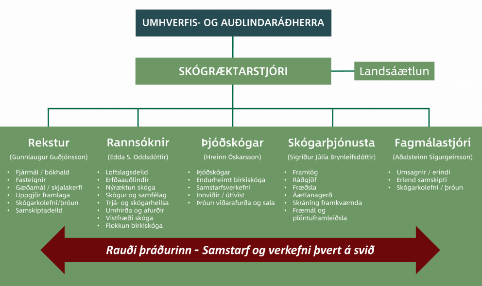 Nýtt skipurit Skógræktarinnar frá og með 20. mars 2020
