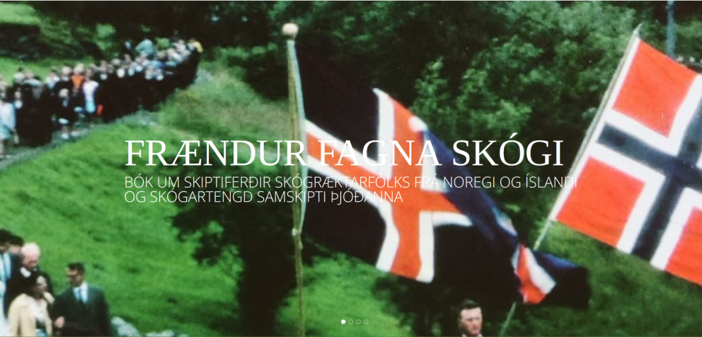 Skjámynd af skog.is