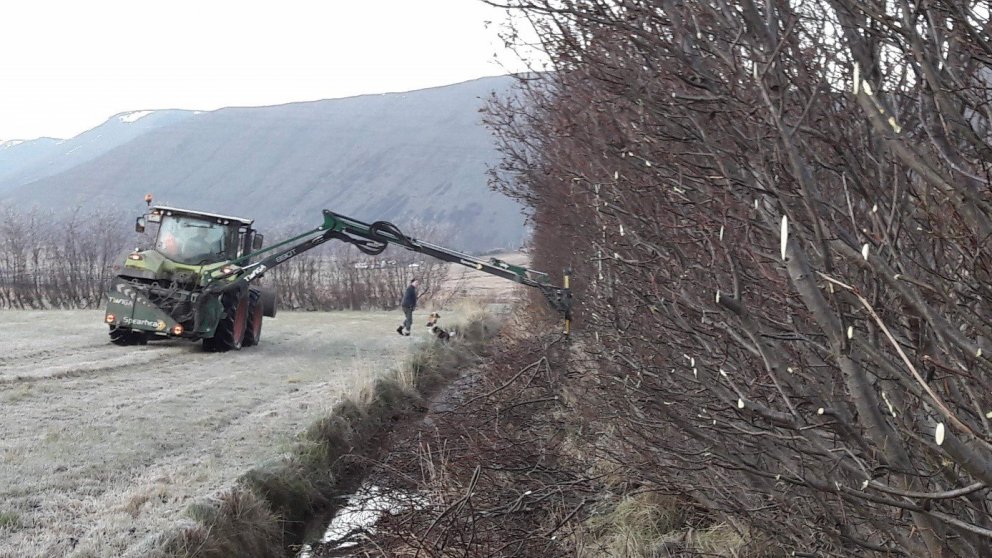 Hér er verið að eiga við vel hirt belti og það gekk greitt. Vélin nær að teygja sig allt að 9 m. til&hellip;