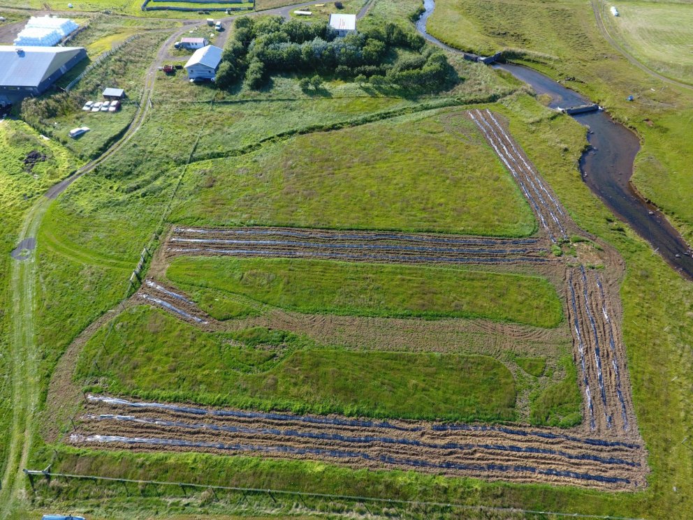 Skjólbelti má meðal annars nota til að draga úr snjósöfnun heima við bæi. Hér sjást ný skjólbelti á …