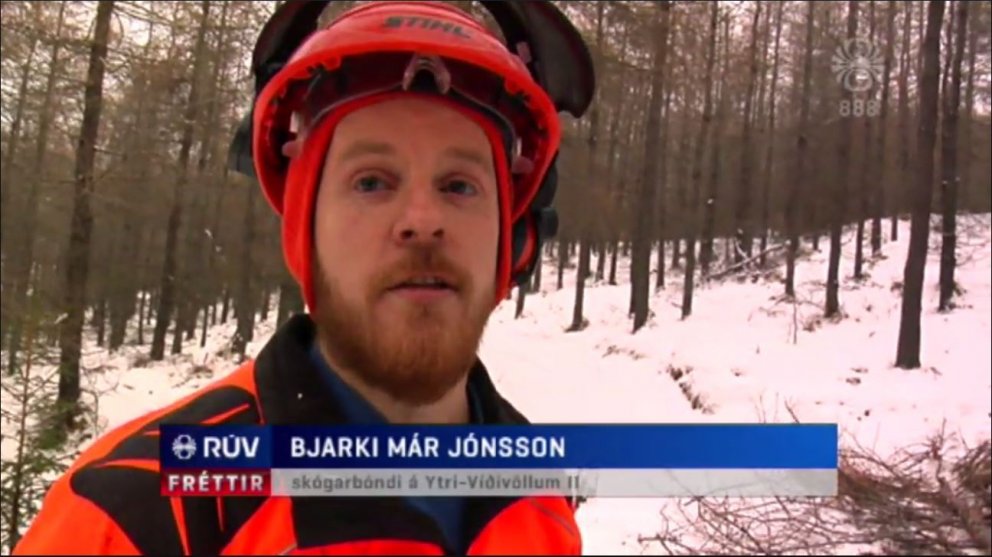 Skógarbóndi býr til pallaefni og parket