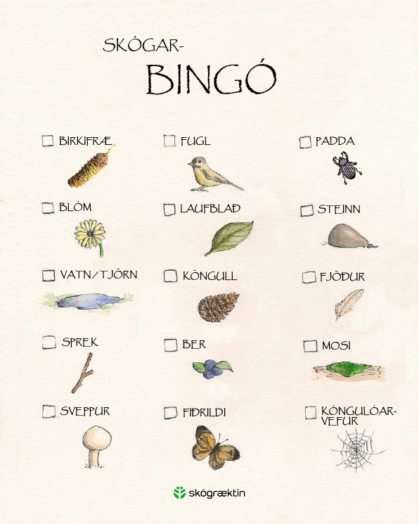 Skógarbingó í ferðalagið