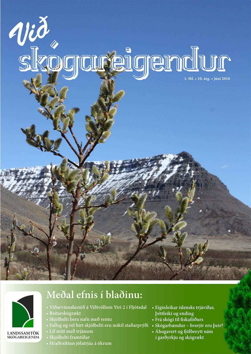 Blaðið Við skógareigendur komið út