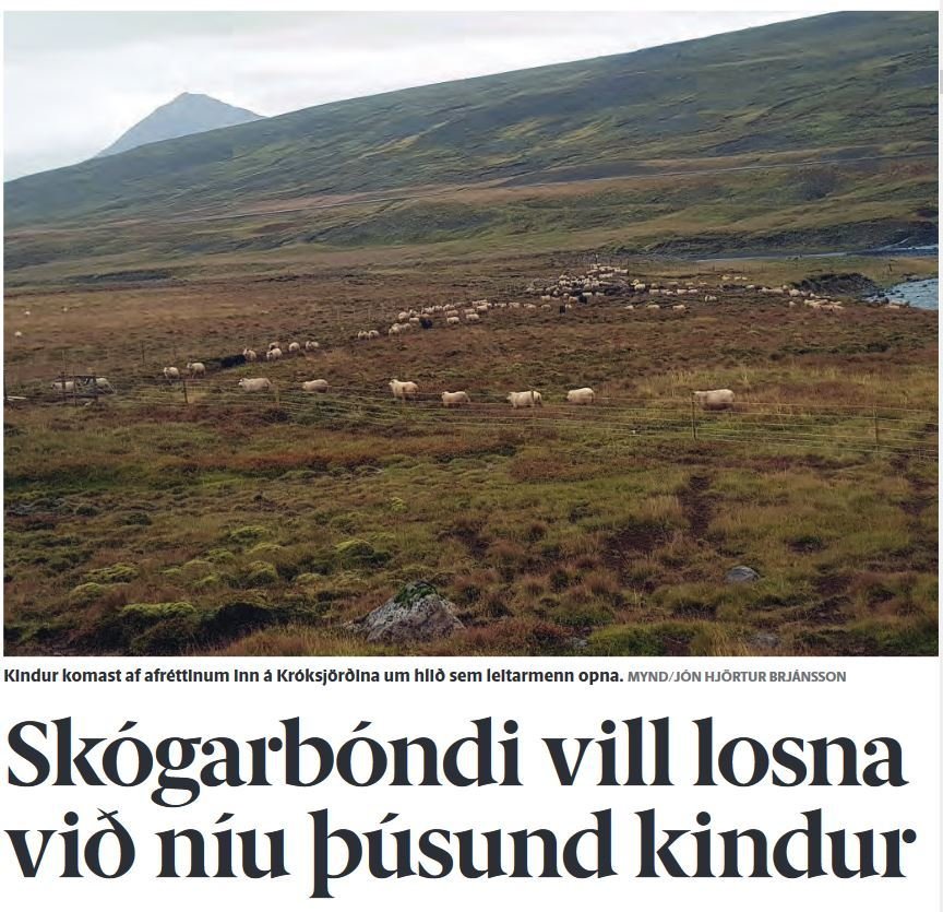 Skógarbóndi í dómsmál vegna fjárreksturs um land hans