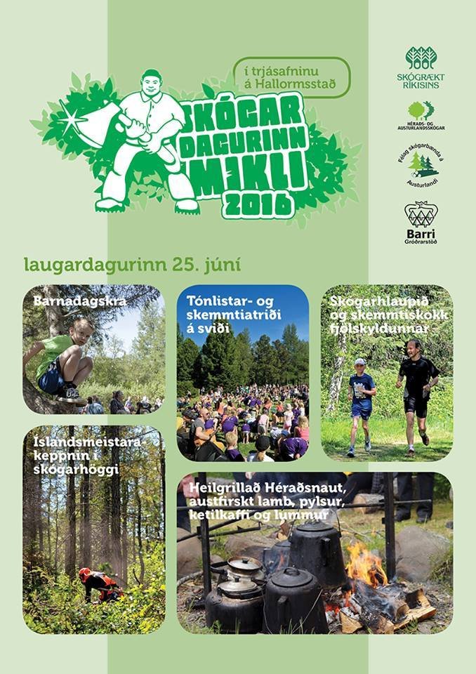 Undirbúningur hafinn fyrir Skógardaginn mikla