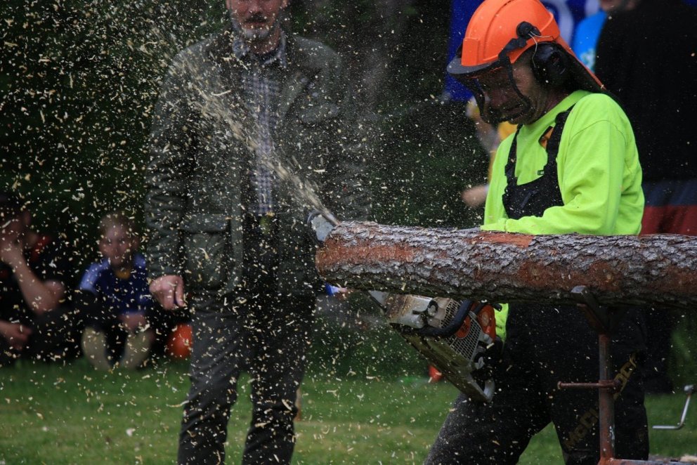 Frá Skógardeginum mikla í Hallormsstaðaskógi. Mynd af vefnum