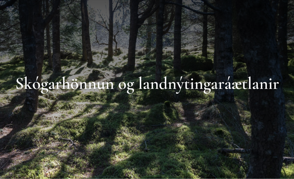 Skógarhönnun og landnýtingaráætlanir