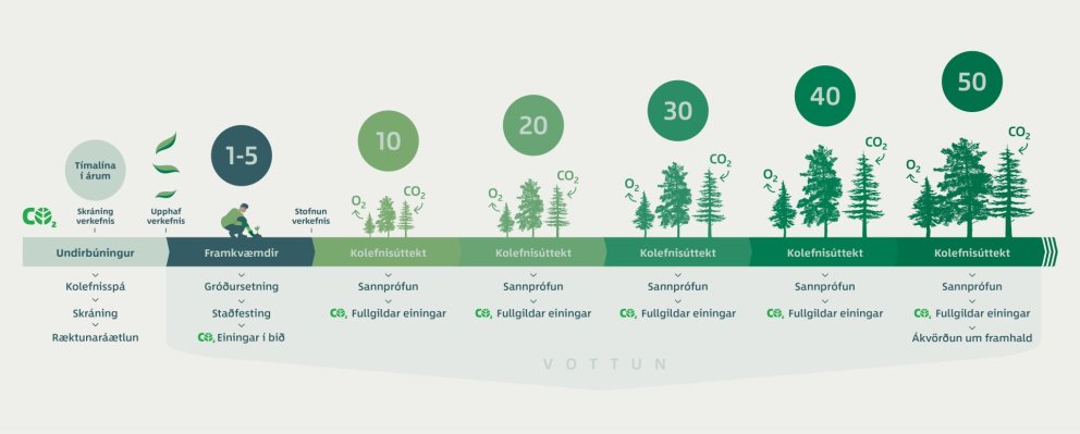 Front page banner of the new Skógarkolefni website, designed by graphic designer Anita Hafdís Björns…