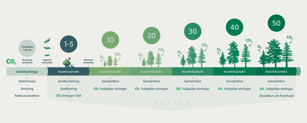 Forsíðuborðinn á skogarkolefni.is sýnir fimmtíu ára feril nýskógræktarverkefnis sem tekið er til vot…