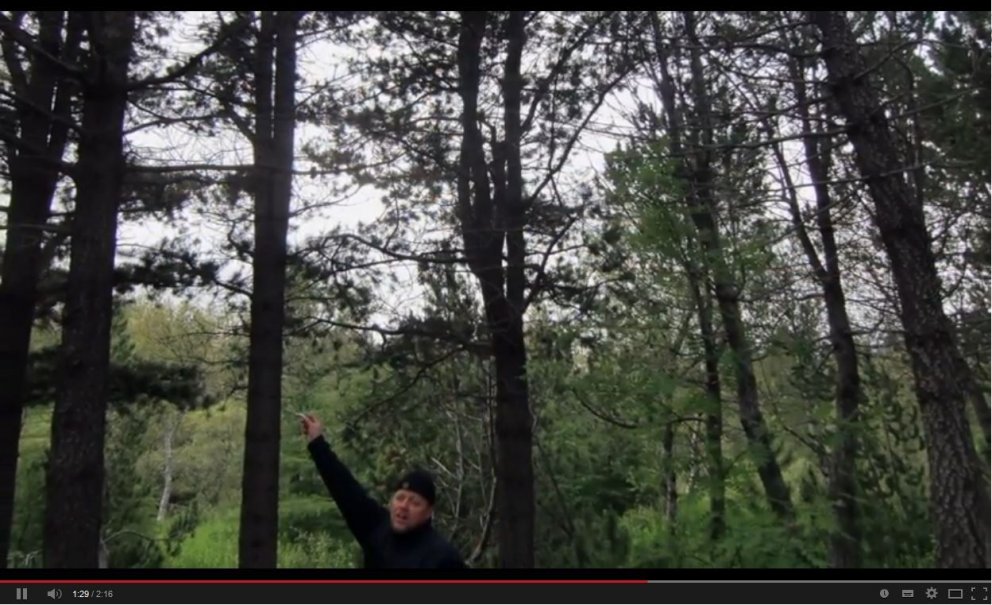 Skógfræði við LBHÍ - umsóknarfrestur til 5. júní