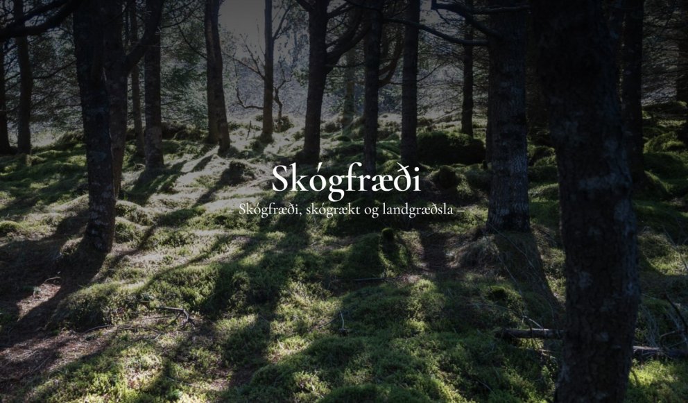 Áhugavert námskeið fyrir allt fólk sem vill styrkja undirstöðuþekkingu sína í skógfræðilegum efnum