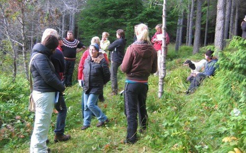 Skógfræðinemar ásamt Bjarna Diðriki Sigurðssyni prófessor í vettvangsferð. Ljósmynd af skogur.is.