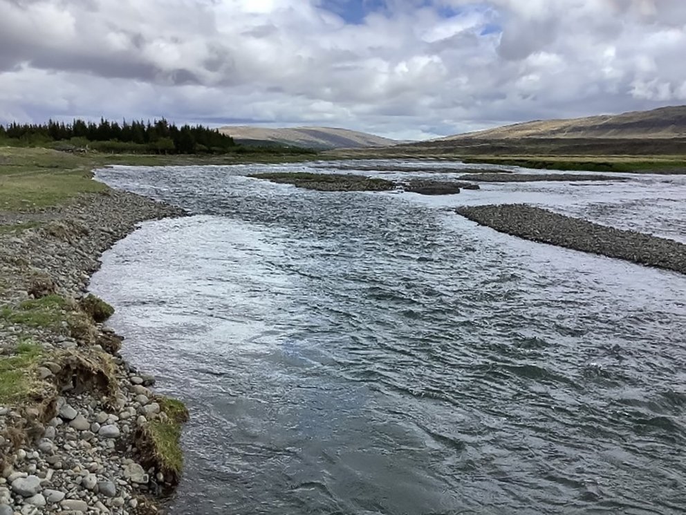 Þar sem ekki nýtur trjágróðurs á árbökkum er vatnsrof mun meira en þar sem trjárætur binda bakkana s…
