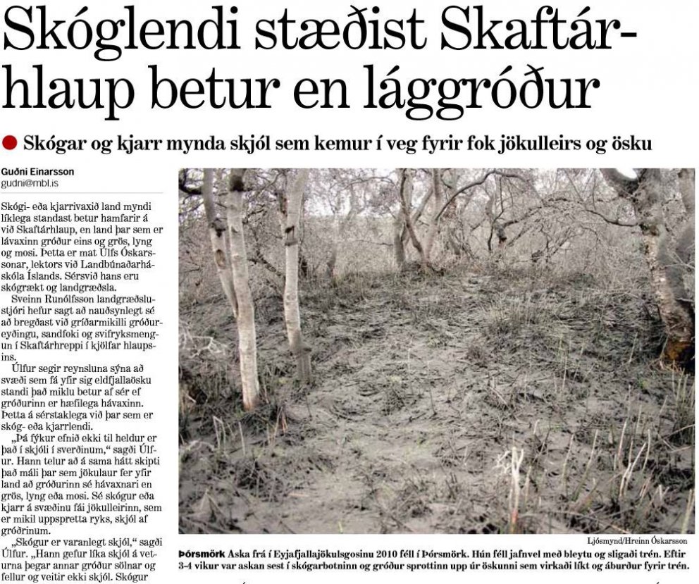 Skóglendi stæðist Skaftárhlaup betur en lággróður