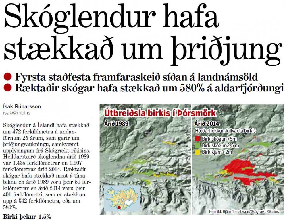 Skóglendur hafa stækkað um þriðjung