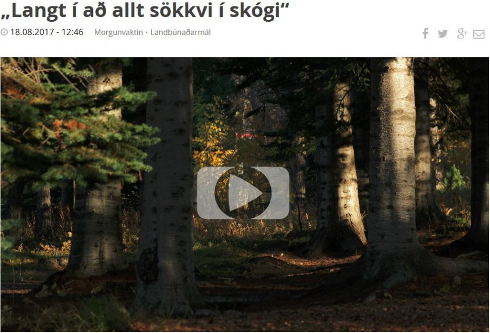 Skógræktarfólk í Útvarpinu