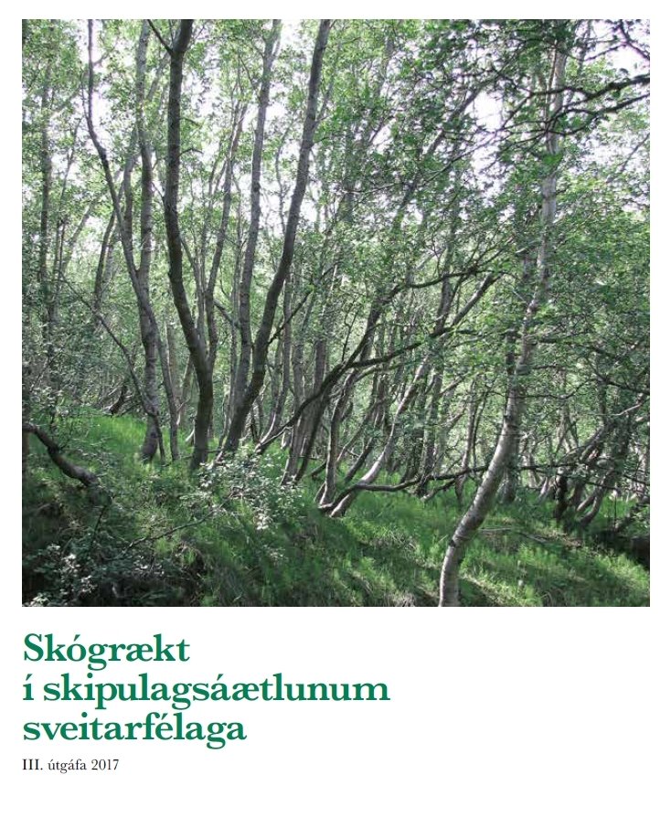 Skógrækt í skipulagsáætlunum sveitarfélaga