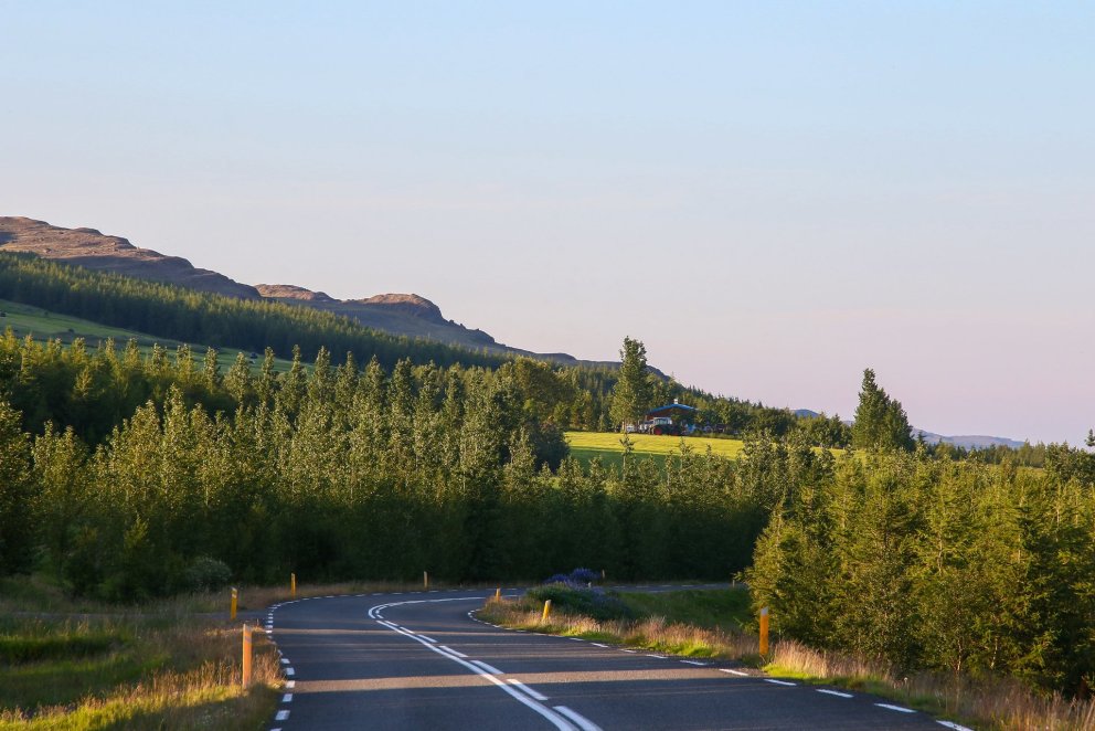 Skógrækt er skipulagsskyld og fer í gegnum strangt ferli sem sumir álíta jafnvel of þungt í vöfum. H…