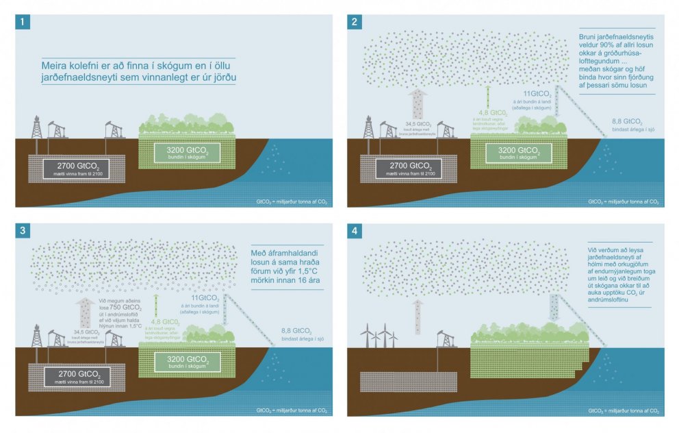 Skógar jarðarinnar geyma í sér meira kolefni en er að finna í allri vinnanlegri olíu, gasi og kolum …