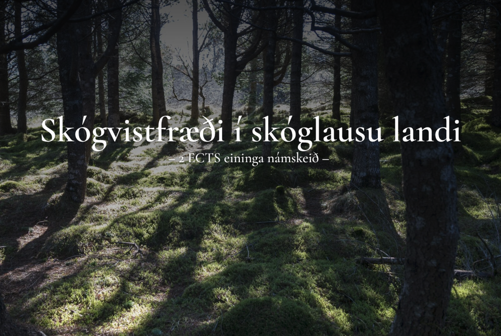 Skógvistfræði í skóglausu landi