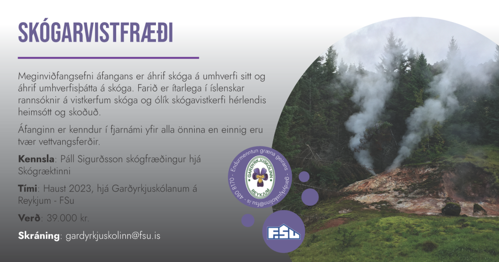 Fjögurra eininga nám í skógarvistfræði