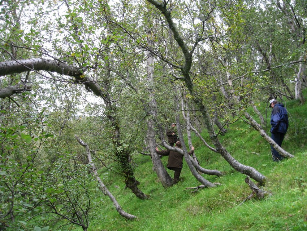 (mynd: Sigurður Skúlason)