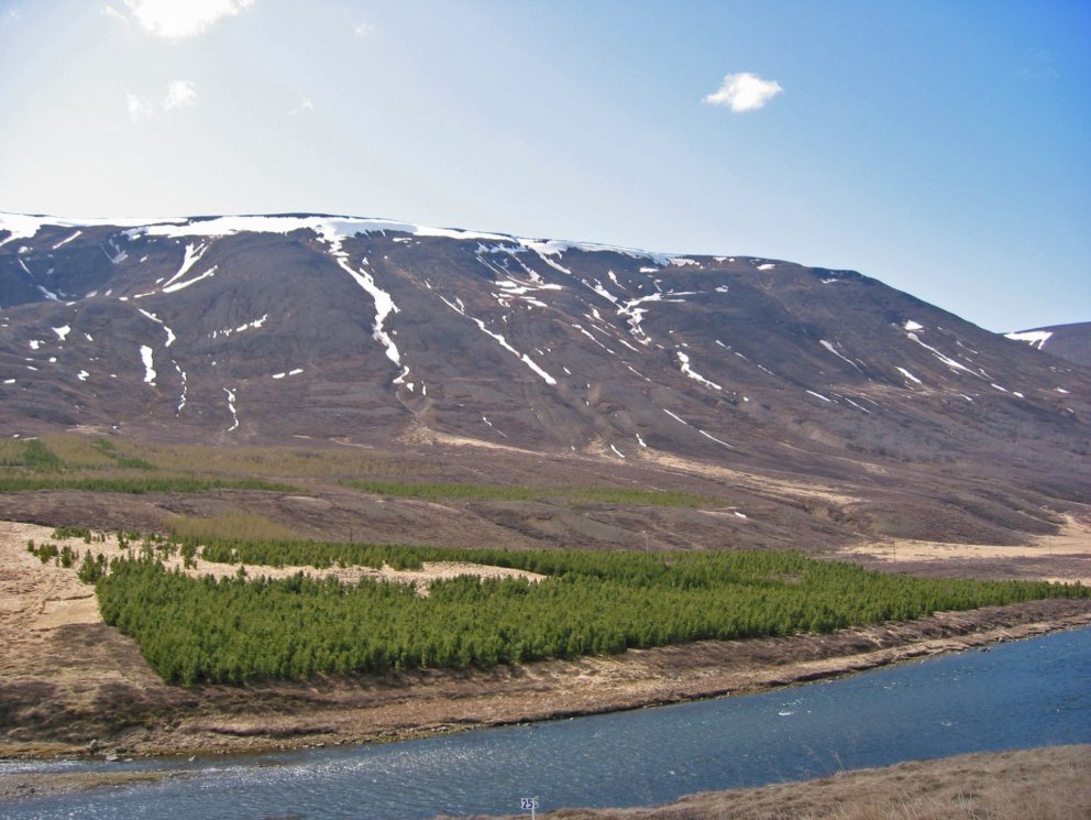 (mynd: Sigurður Skúlason)