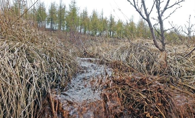 „Það væri gaman að vita hvað framtíðin ber í skauti sér og hvað næstu kynslóðir segja um aðgerðir ok…
